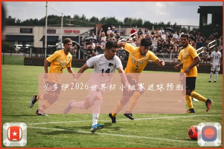 戈多伊2026世界杯小组赛进球预测