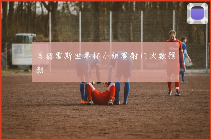 马赫雷斯世界杯小组赛射门次数预测