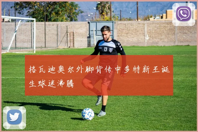 格瓦迪奥尔外脚背传中多特新王诞生球迷沸腾