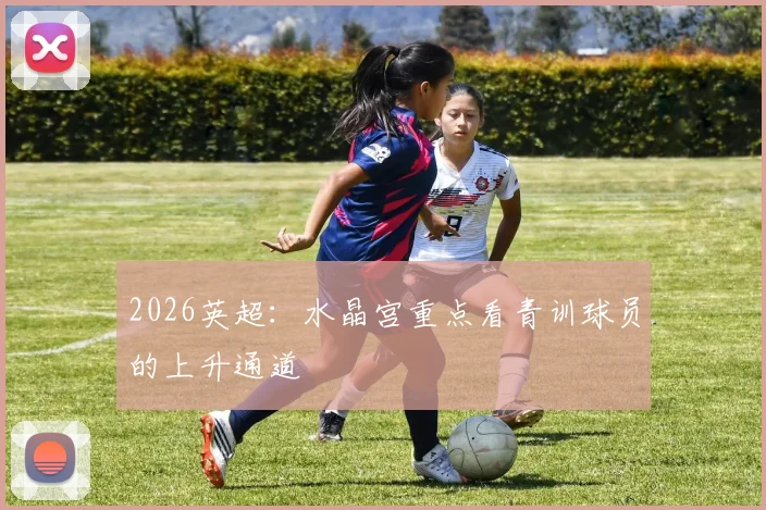2026英超：水晶宫重点看青训球员的上升通道