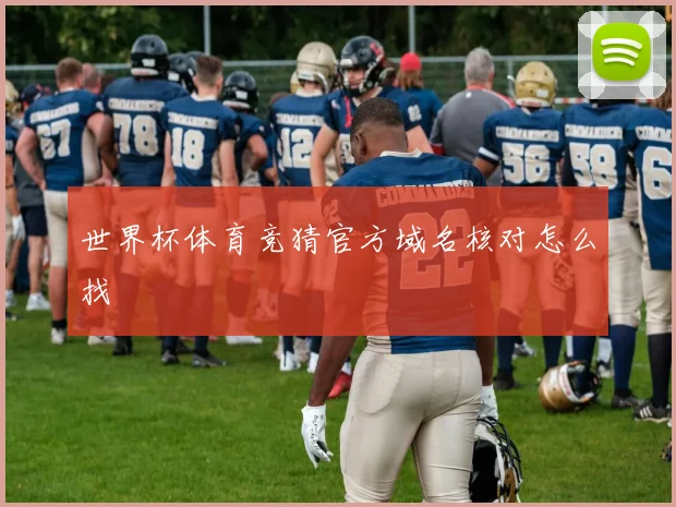 世界杯体育竞猜官方域名核对怎么找