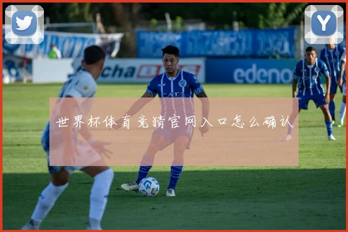 世界杯体育竞猜官网入口怎么确认